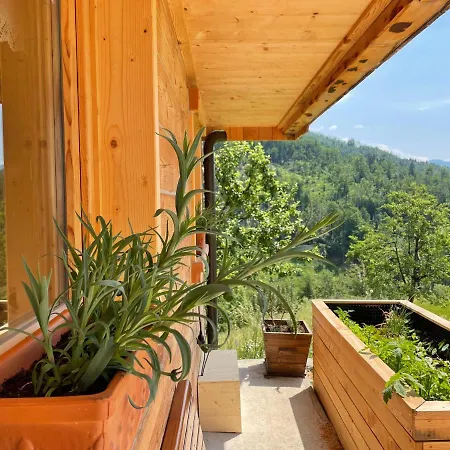 Chalet Miha's